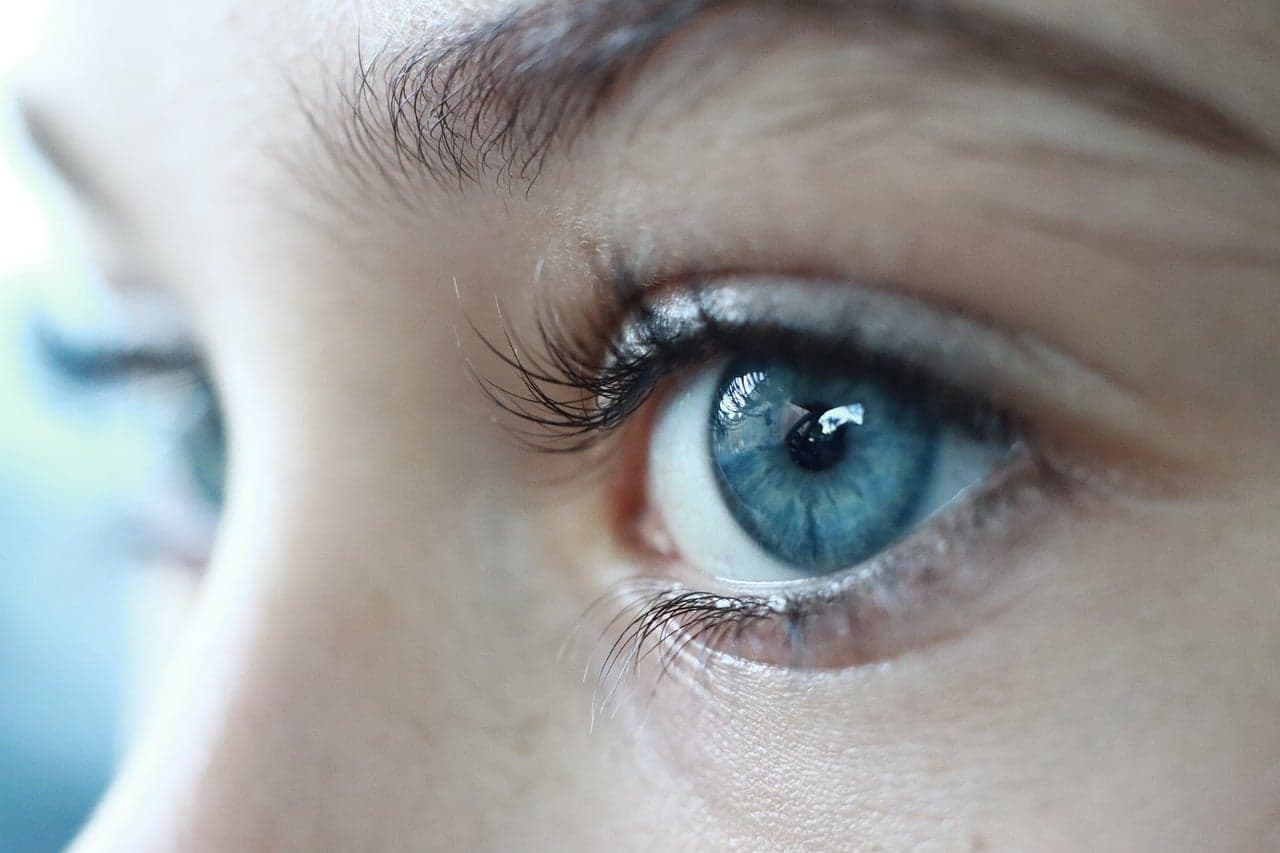 Close-up of an open eye with long, curled natural lashes